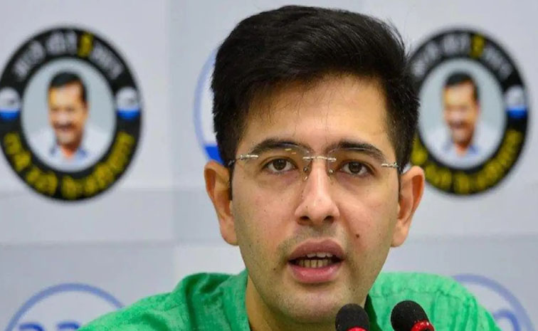 Raghav_20Chadha.jpg