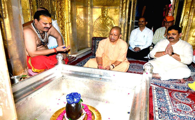 kashi.jpg