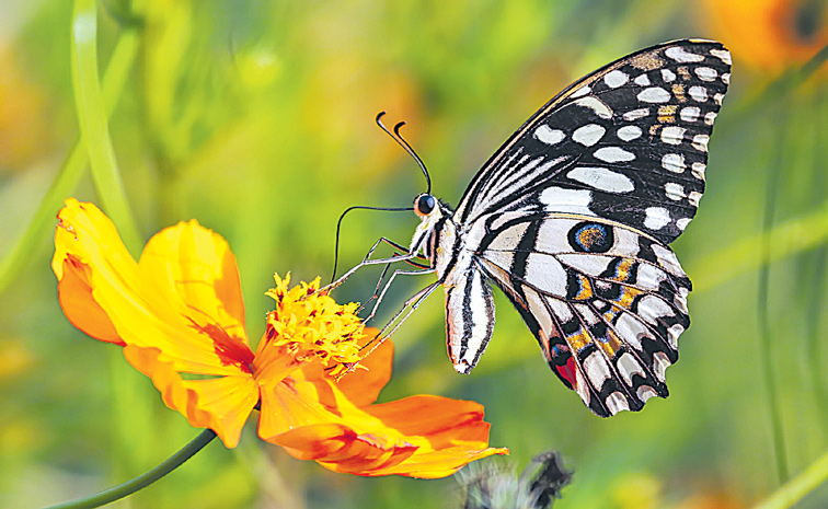 iStock-1096167356.jpg