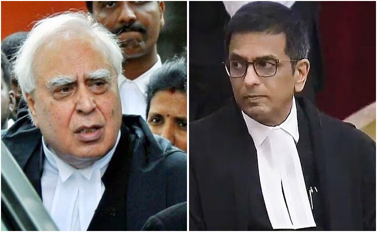 CJI-DY-Chandrachud.jpg