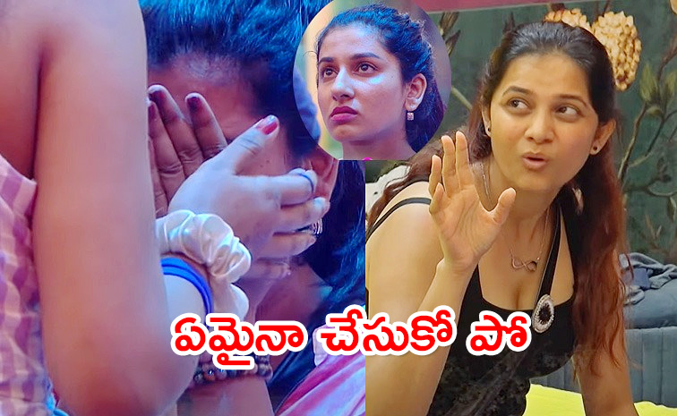 Bigg-Boss-8-Telugu-Day.jpg