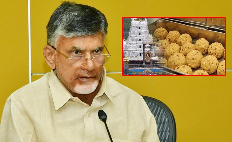 CBN_0.jpg