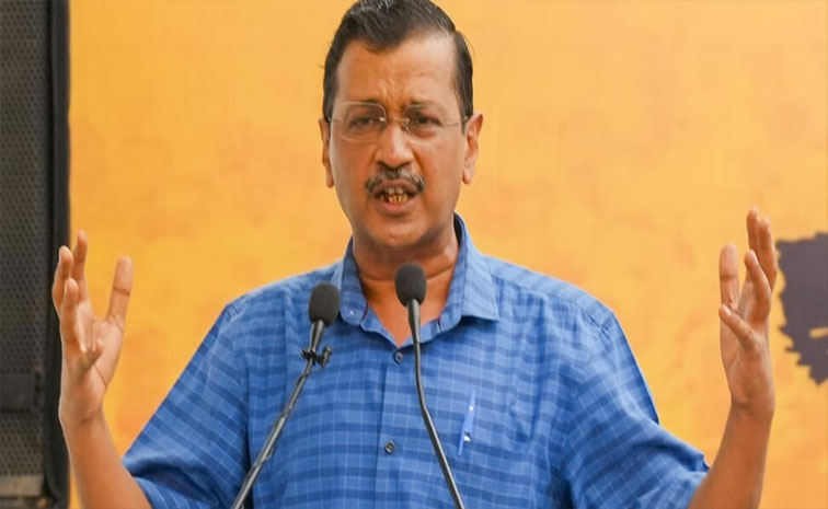 AAP.jpg