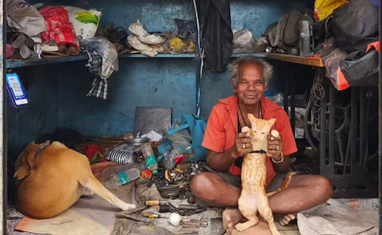 Bangalore_20cobbler_pets.jpg