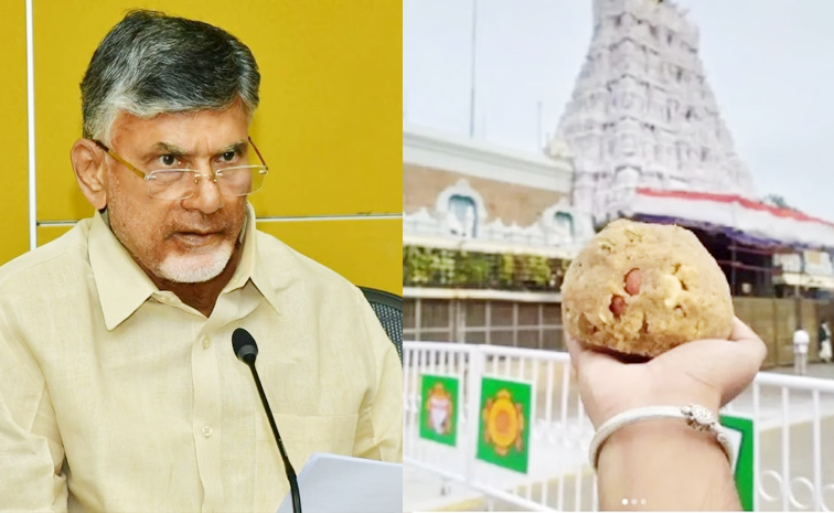 Laddu_CBN_TTD.jpg