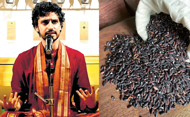 Rice-Vinay.jpg