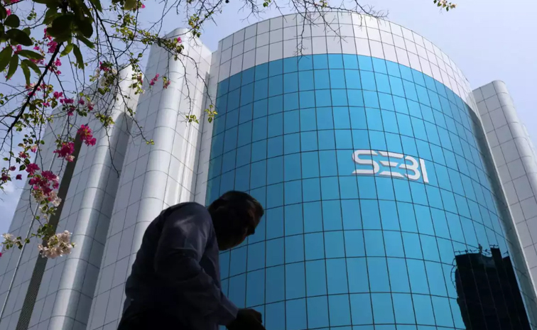 sebi.jpg