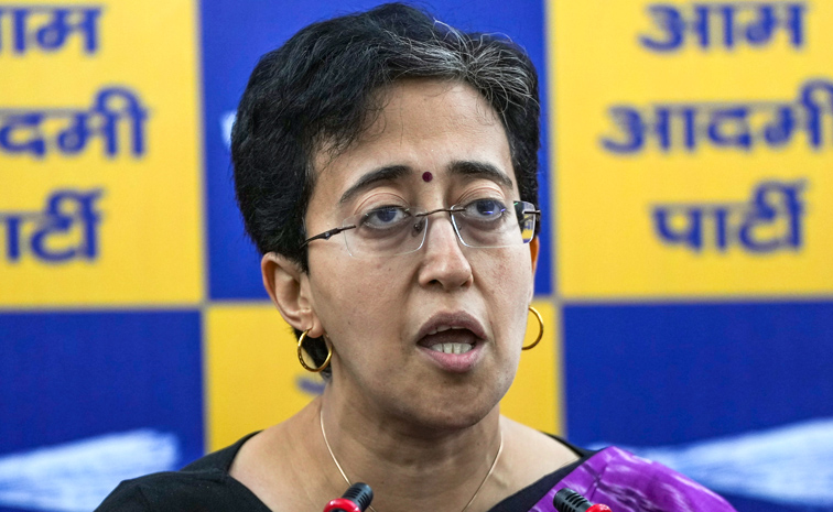 Atishi-leaves.jpg