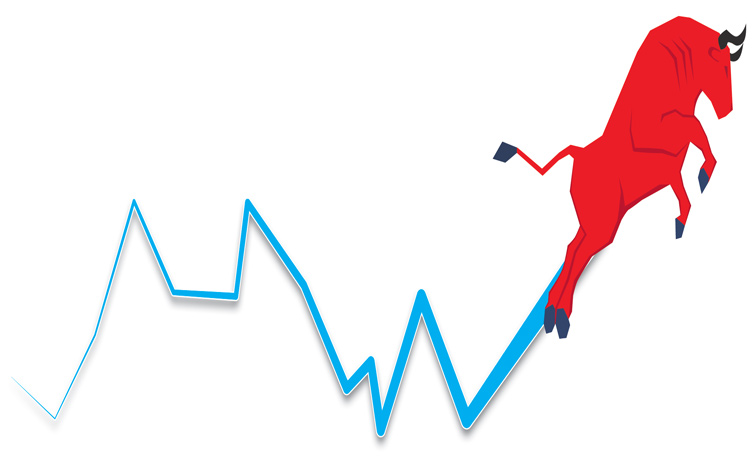 BULL-UP-2036768896.jpg