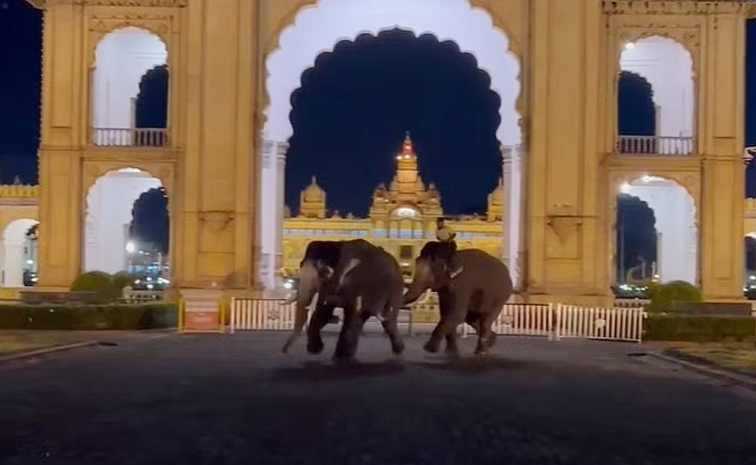Mysore_Palace_Elephants_Cha.jpg