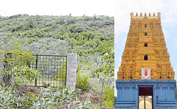 Simhachalam.jpg