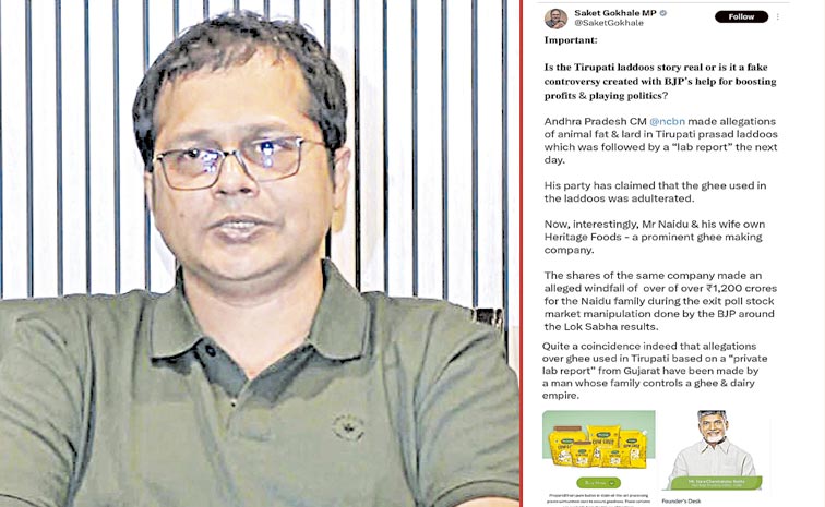 TMC-MP.jpg