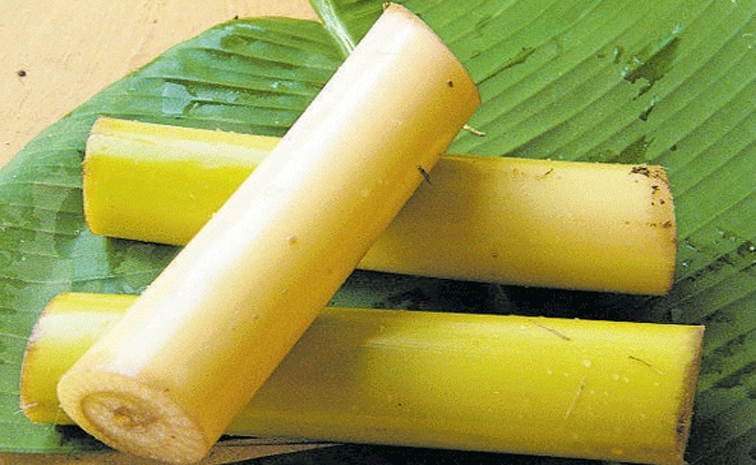 Bananastem_weightloss.jpg