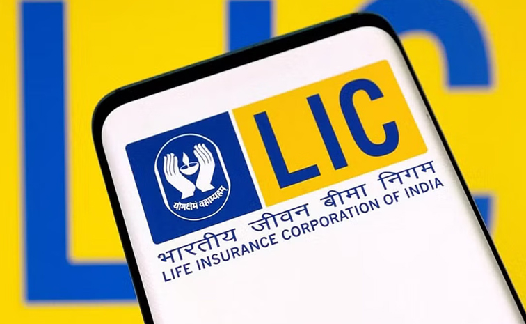 lic.jpg