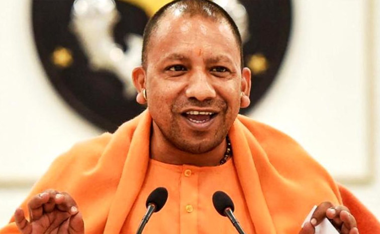 yogi-main.jpg