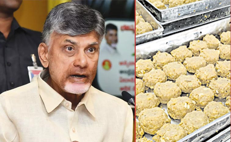 BABU.jpg