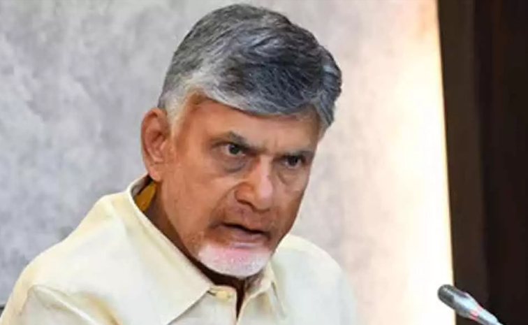 CBN_Theprint_Article.jpg