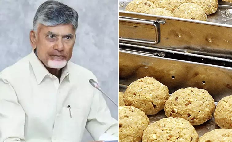 Chandrababu.jpg