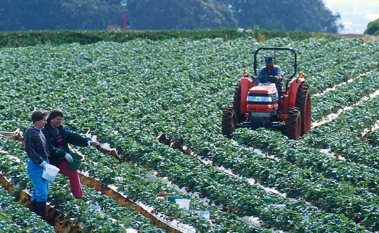 agriculture.jpg