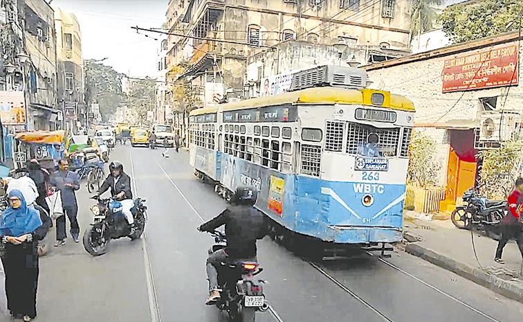 TRAM.jpg