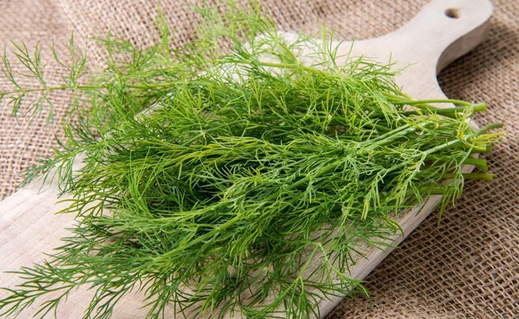 dill-leaves.jpg