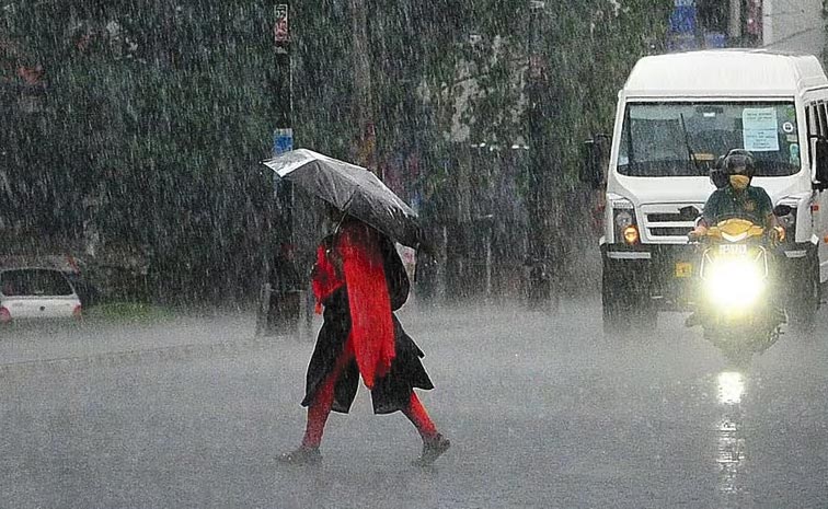 rain22.jpg