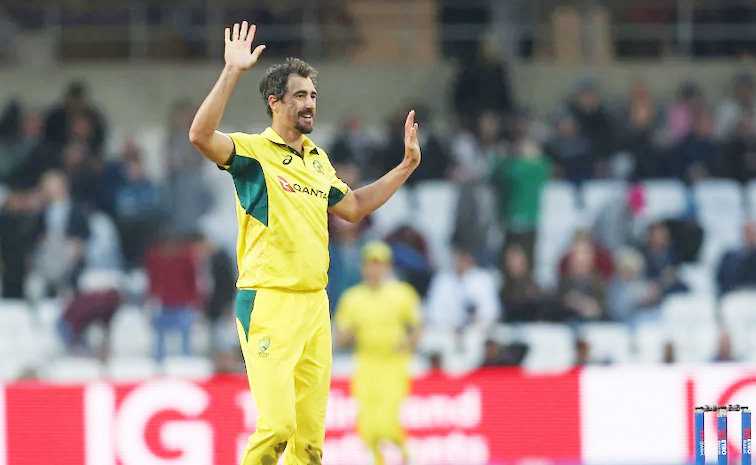 starc.jpg