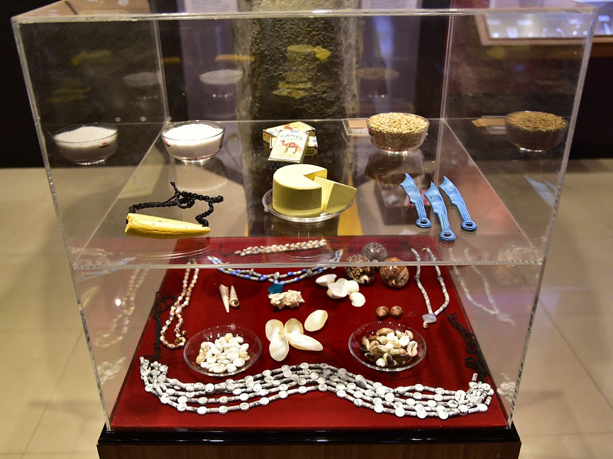 RBI-Museum-7.jpg 8