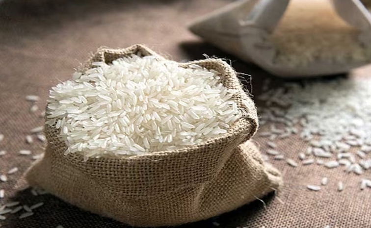 rice-export.jpg