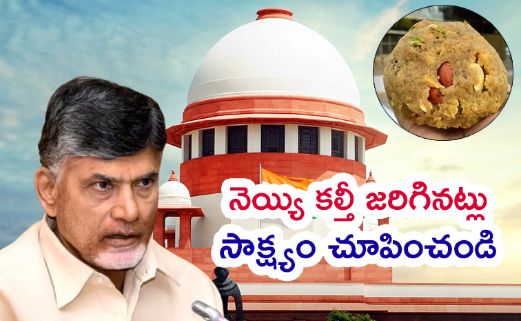 Chandrababu-Naidu.jpg