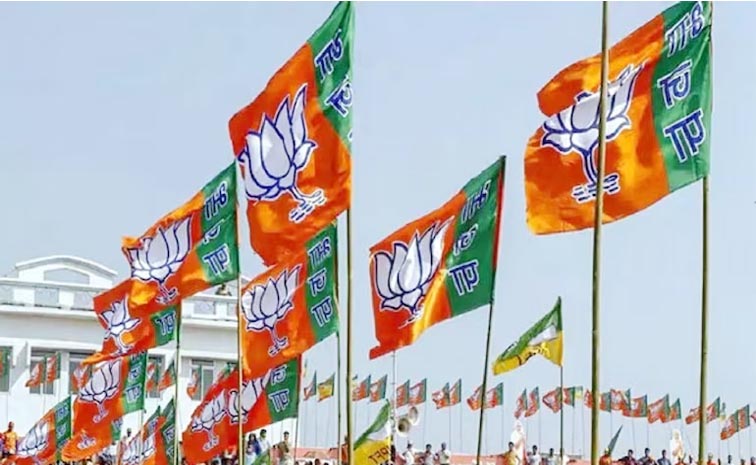 bjp.jpg