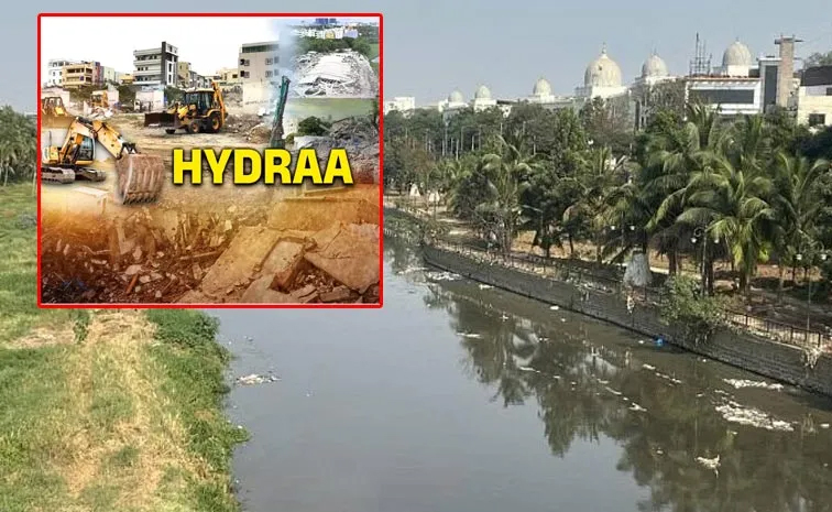 hydra.jpg