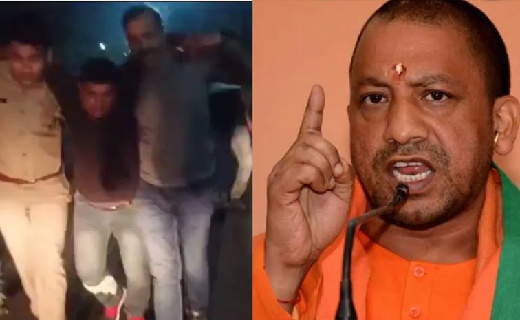 yogi.jpg