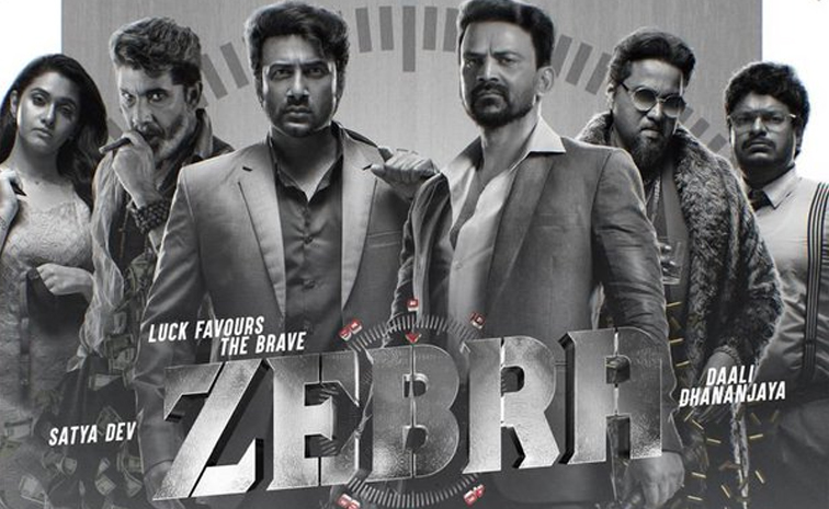 zeebra.jpg
