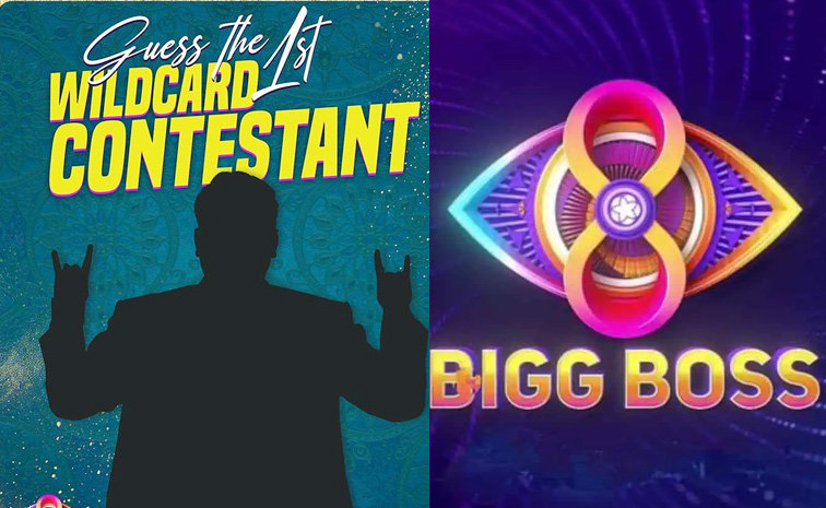 wild-card-bigg-boss-8-telug.jpg