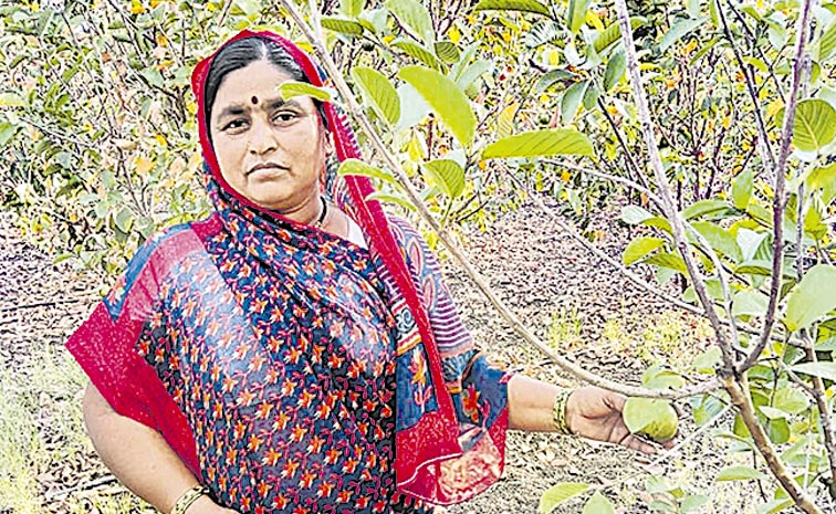 Savitri-cropped.jpg
