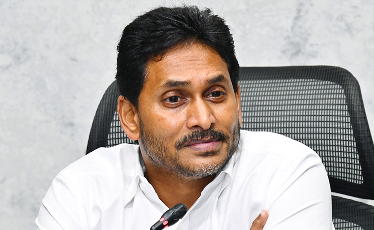 No_20Biryani_20No_20Pulao_20YS_20Jagan_20Back_20to_20Back_20Punches_20On_20Chandrababu_20Govt_20Photos_20_2813_29.jpg 14