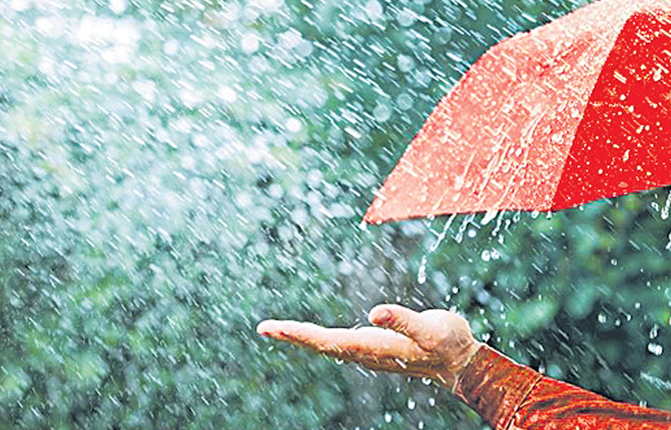 rain.jpg