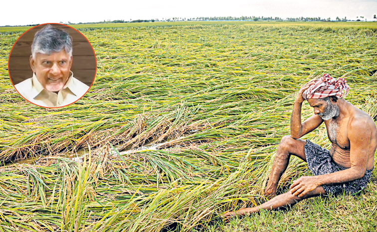 FARMER-SAD.jpg