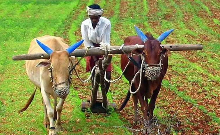 agri01.jpg