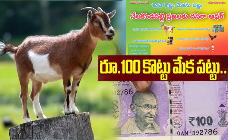 goat-offer.jpg