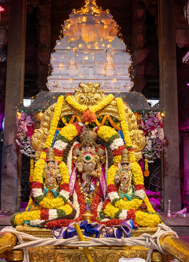 Tirumala_20Sri_20Venkateswara_20Swamy_20Brahmotsavam_202024_31.jpg 29