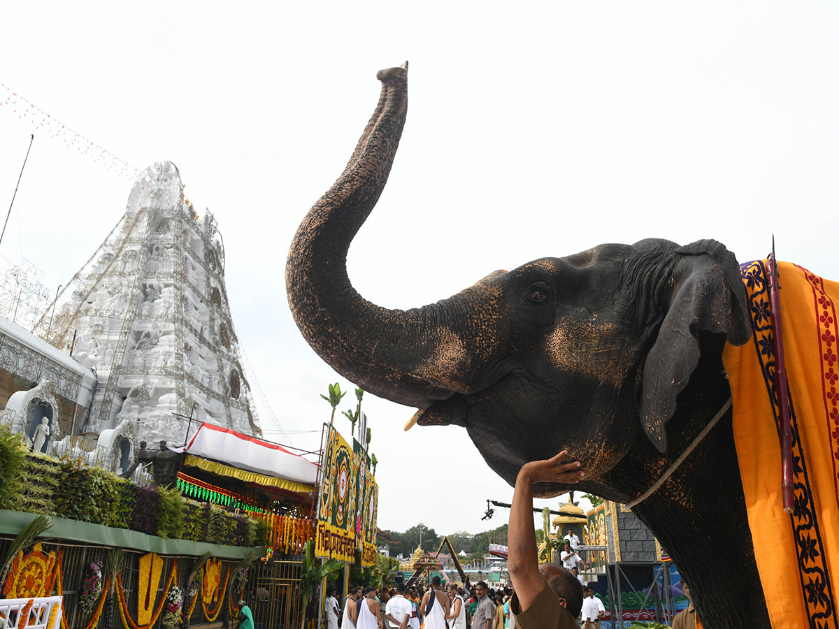 Tirumala_20Sri_20Venkateswara_20Swamy_20Brahmotsavam_202024_6_0.jpg 5