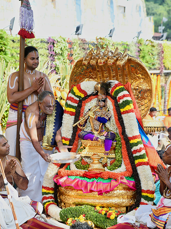 Tirumala_20brahmotsavam_202024_20photos__20_283_29.jpg 3