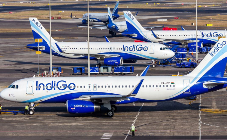 indigo.jpg