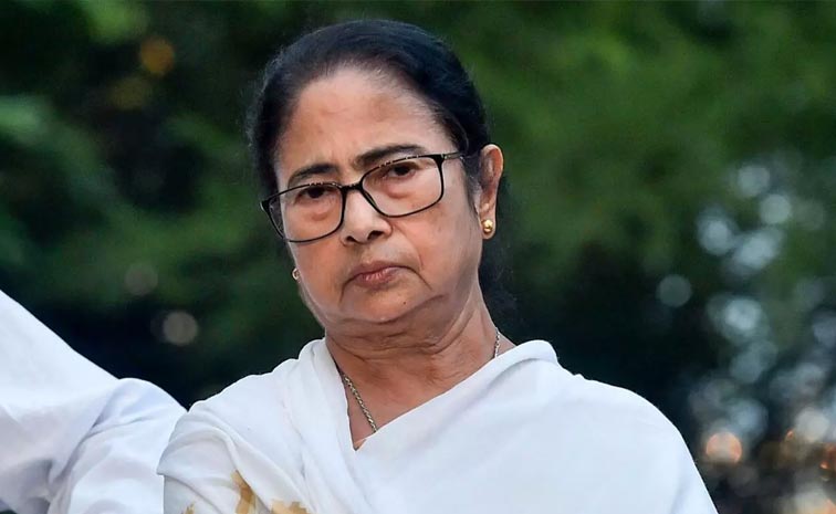 mamata_2.jpg