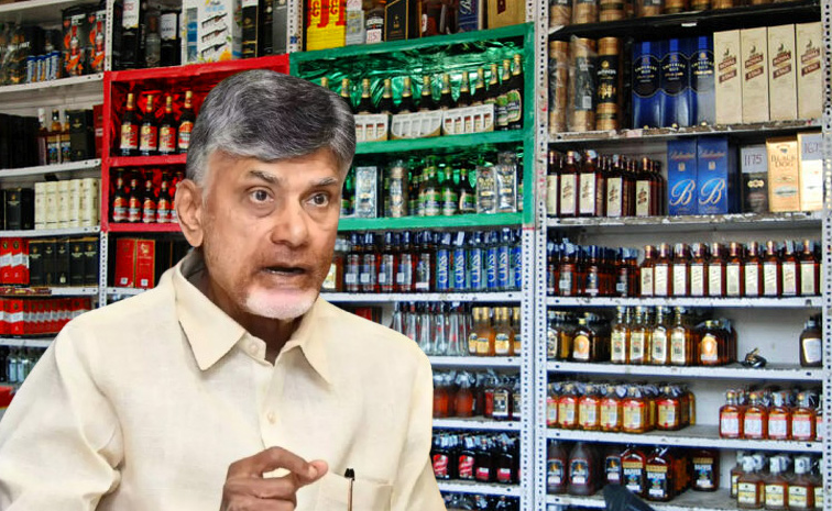 Chandrababu-Govt.jpg
