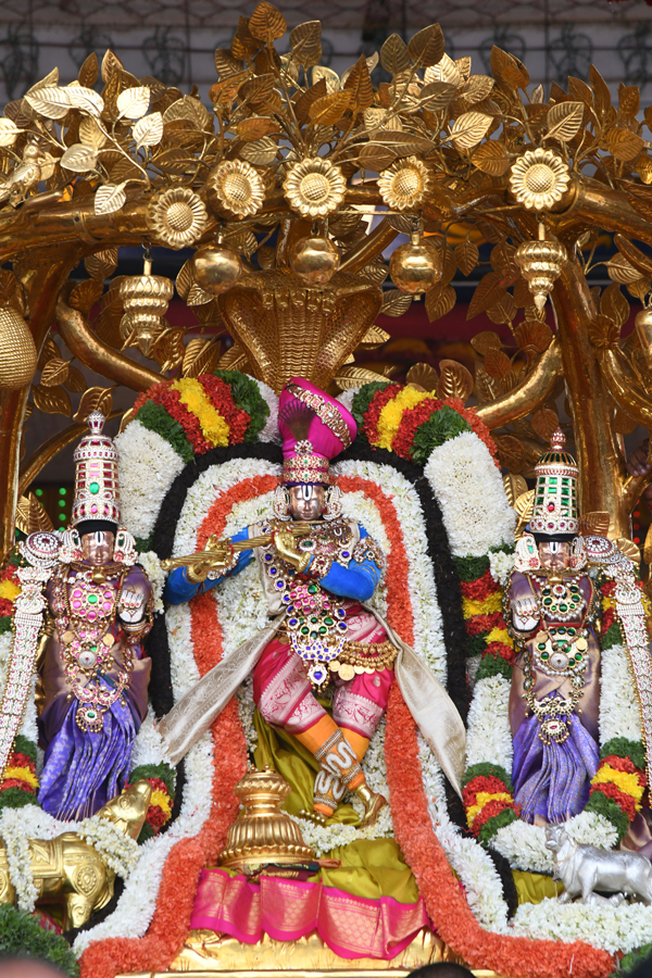 Tirumala-Brahmotsavam-8.jpg 9