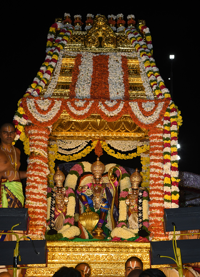 Tirumala_20Brahmotsavam.._20Srivari_20Darshan_20on_20Sarvabhupala_20Vahanam_47.jpg 28