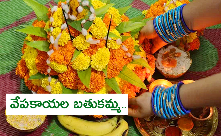 Vepakayala-Batukamma.jpg